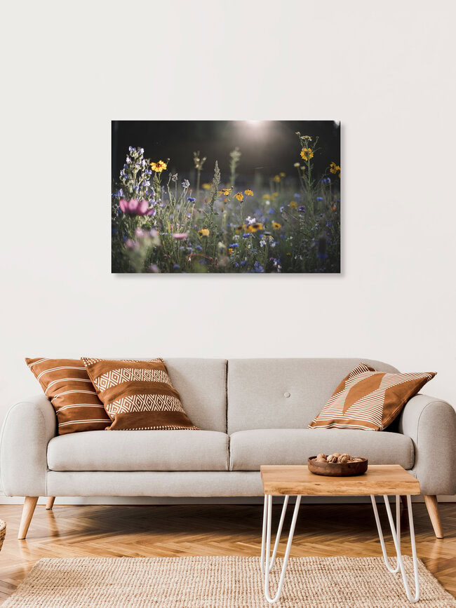 Summer flower meadow in the summer sun, Germany – wall art by Nadja Jacke as Poster or Acrylic Glass Print
