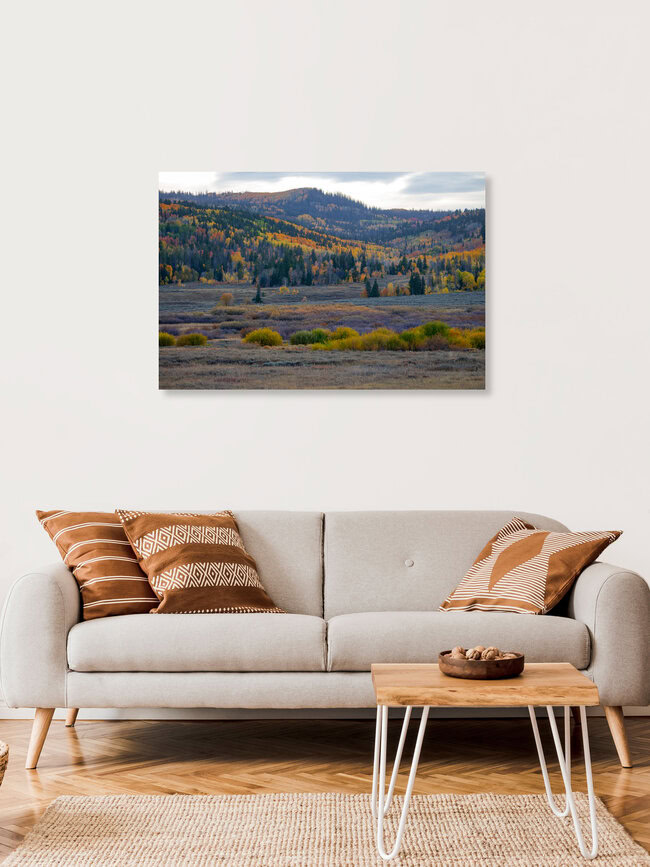 Autumn colours of Colorado, United States – wall art by Martin Rau as Poster or Acrylic Glass Print