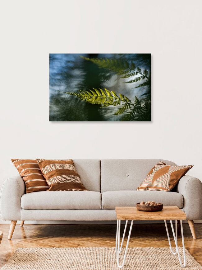 Fern frond, Norwegen – Fotokunst von Sebastian Worm als Poster oder Acrylglasbild