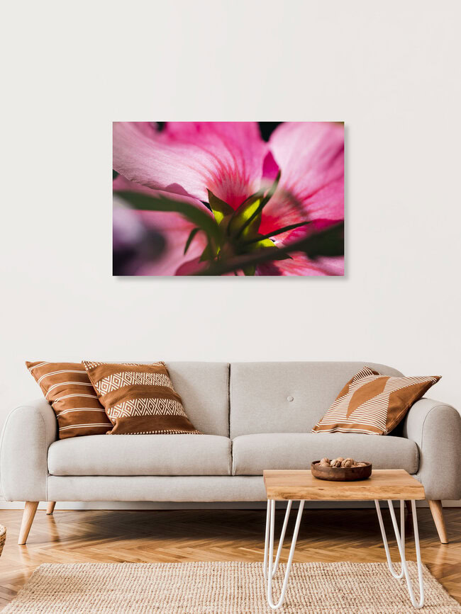 Hibiskusblüte Makroaufnahme, Deutschland – Fotokunst von Nadja Jacke als Poster oder Acrylglasbild