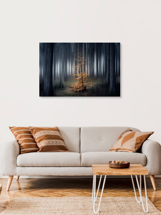 A small tree in the dark forest, Germany – wall art by Oliver Henze as Poster or Acrylic Glass Print