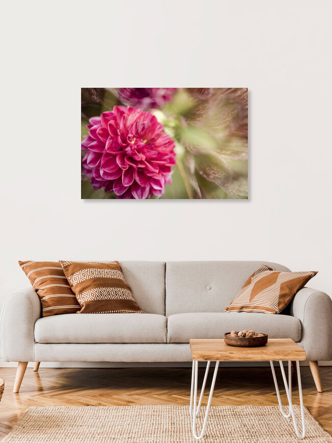 Doppelte Dahlienblüte, Deutschland – Fotokunst von Nadja Jacke als Poster oder Acrylglasbild