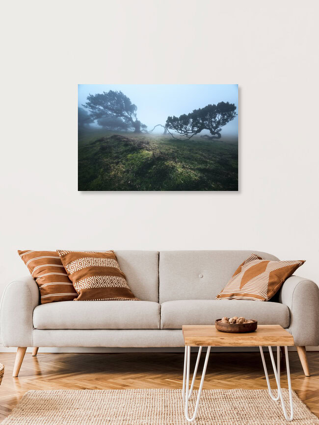 Madeira Fanal Cloud Forest with laurel Trees, Portugal – wall art by Jean Claude Castor as Poster or Acrylic Glass Print