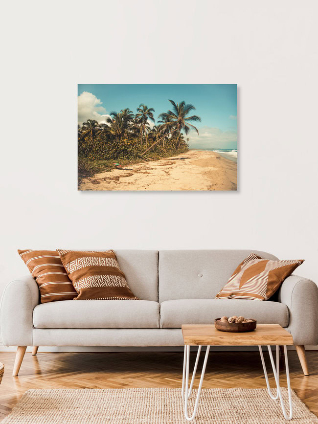 Aus der Reihe gepflanzt, Kolumbien – Fotokunst von Philipp Awounou als Poster oder Acrylglasbild