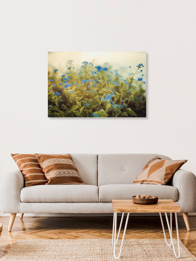 Mauerblümchen, Deutschland – Fotokunst von Philipp Awounou als Poster oder Acrylglasbild