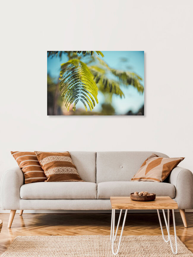 Green Beauty, Spain – wall art by Philipp Awounou as Poster or Acrylic Glass Print