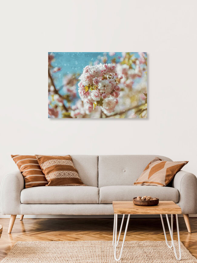 Blüten im Frühling, Deutschland – Fotokunst von Andrea Hansen als Poster oder Acrylglasbild