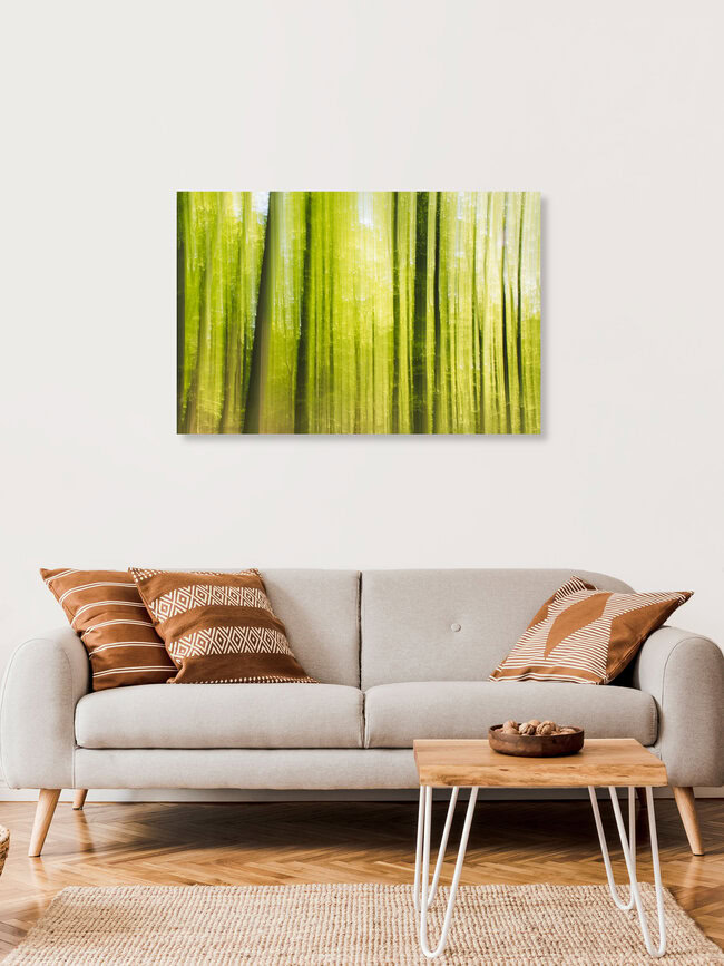 Frühling im Wald verwischt, Deutschland – Fotokunst von Nadja Jacke als Poster oder Acrylglasbild