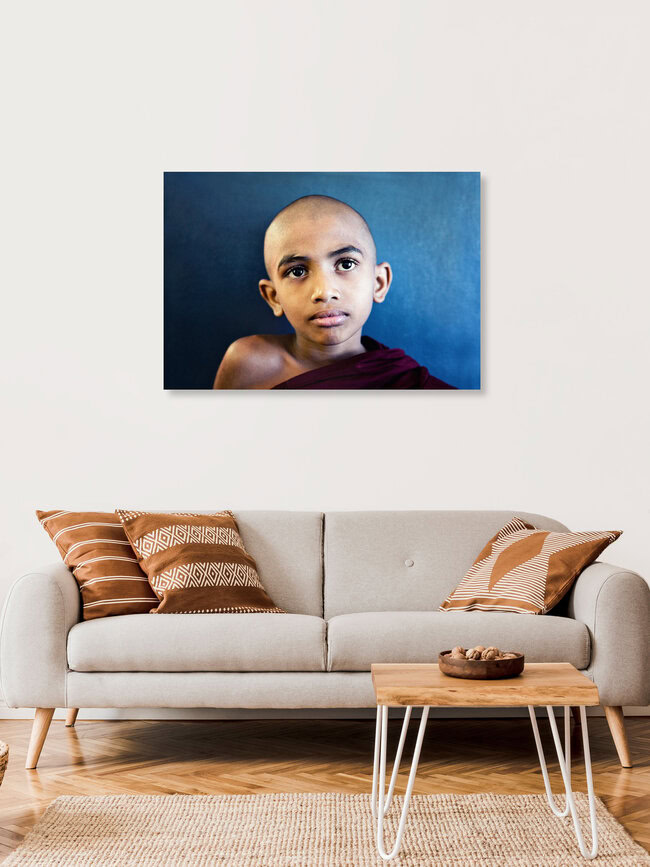 Kleiner Mönch, Sri Lanka – Fotokunst von Victoria Knobloch als Poster oder Acrylglasbild