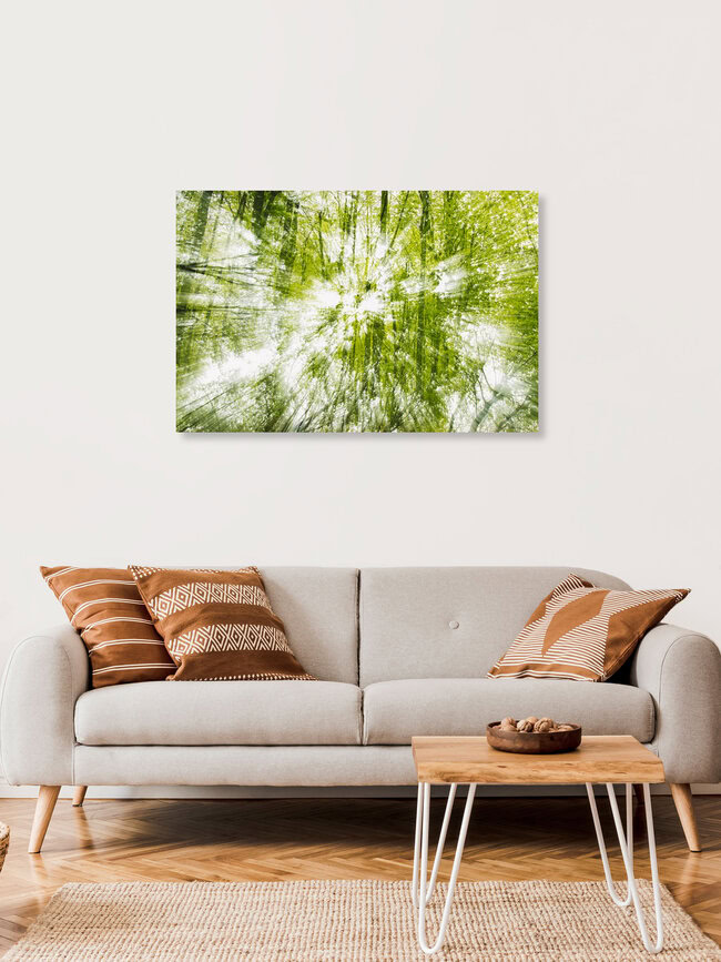 Frühling im Wald doppelt verwischt, Deutschland – Fotokunst von Nadja Jacke als Poster oder Acrylglasbild