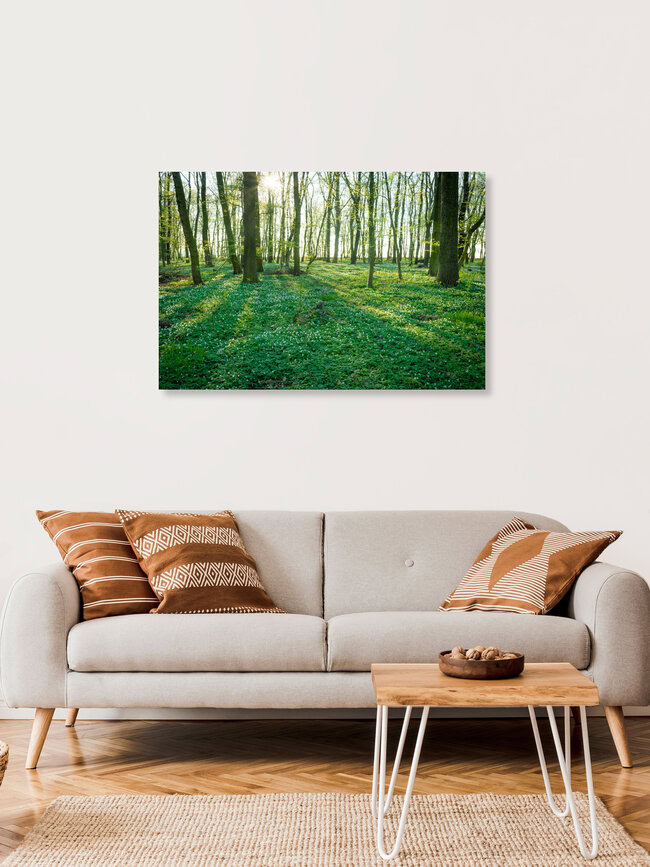 Frühling im Wald, Deutschland – Fotokunst von Martin Wasilewski als Poster oder Acrylglasbild