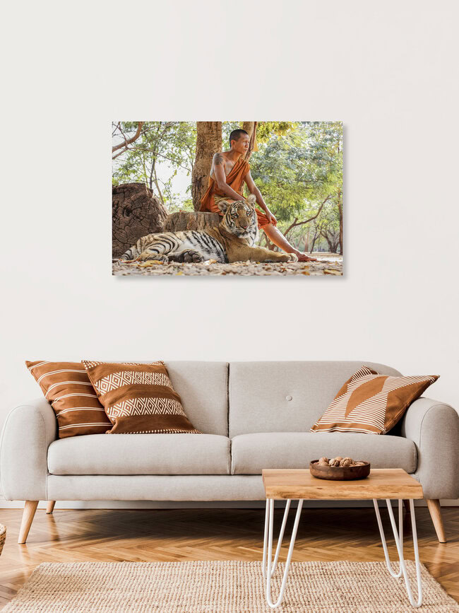 TIGER & MONK, Thailand – Fotokunst von Andreas Adams als Poster oder Acrylglasbild