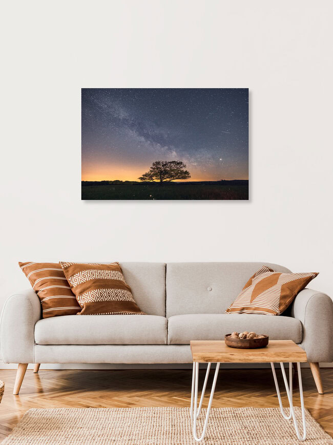 Savannah in the harzmountains with a milky way, Germany – wall art by Oliver Henze as Poster or Acrylic Glass Print