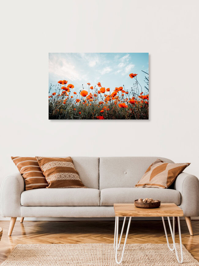 Poppy field and blue sky, Germany – wall art by Oliver Henze as Poster or Acrylic Glass Print