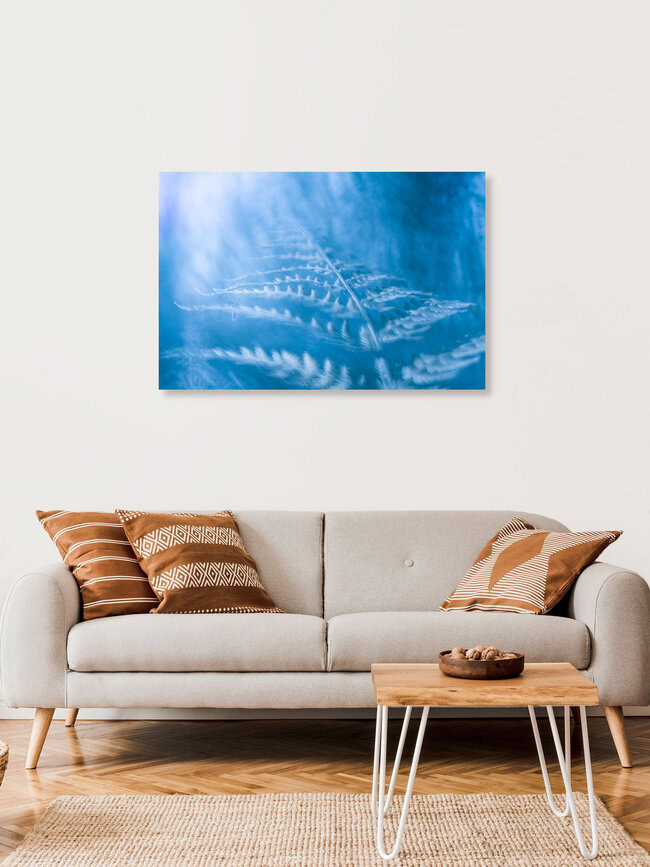 Blue fern, Deutschland – Fotokunst von Sebastian Worm als Poster oder Acrylglasbild