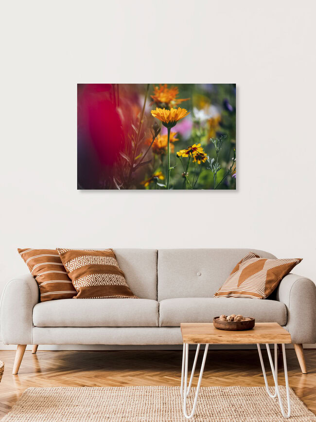 Blumenwiesen aus Wildblumenmischungen, Deutschland – Fotokunst von Nadja Jacke als Poster oder Acrylglasbild