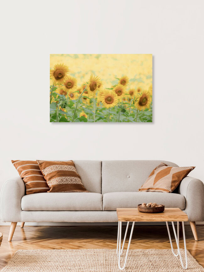 Face to the Sun, Vereinigte Staaten – Fotokunst von Courtney Crane als Poster oder Acrylglasbild