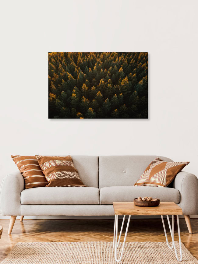 Trees from above, Germany – wall art by Lina Jakobi as Poster or Acrylic Glass Print