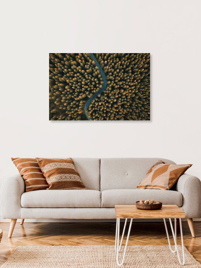 Curvy Road, Germany – wall art by Lina Jakobi as Poster or Acrylic Glass Print