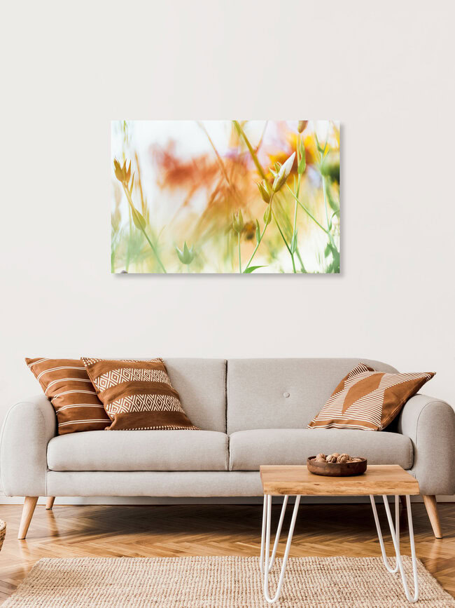 Sommerblumen, Deutschland – Fotokunst von Nadja Jacke als Poster oder Acrylglasbild