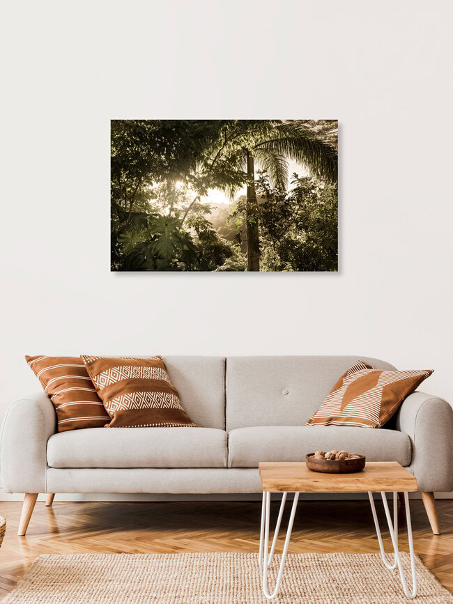 Wild Cuba, Cuba – wall art by Tillmann Konrad as Poster or Acrylic Glass Print
