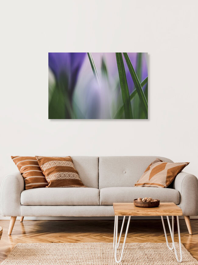 Grashalme, Deutschland – Fotokunst von Nadja Jacke als Poster oder Acrylglasbild