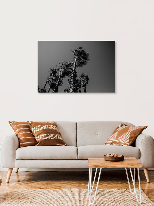 PALM TREES, BEACH AND MORE VOL.2, United States – wall art by Jasmin Hertrich as Poster or Acrylic Glass Print