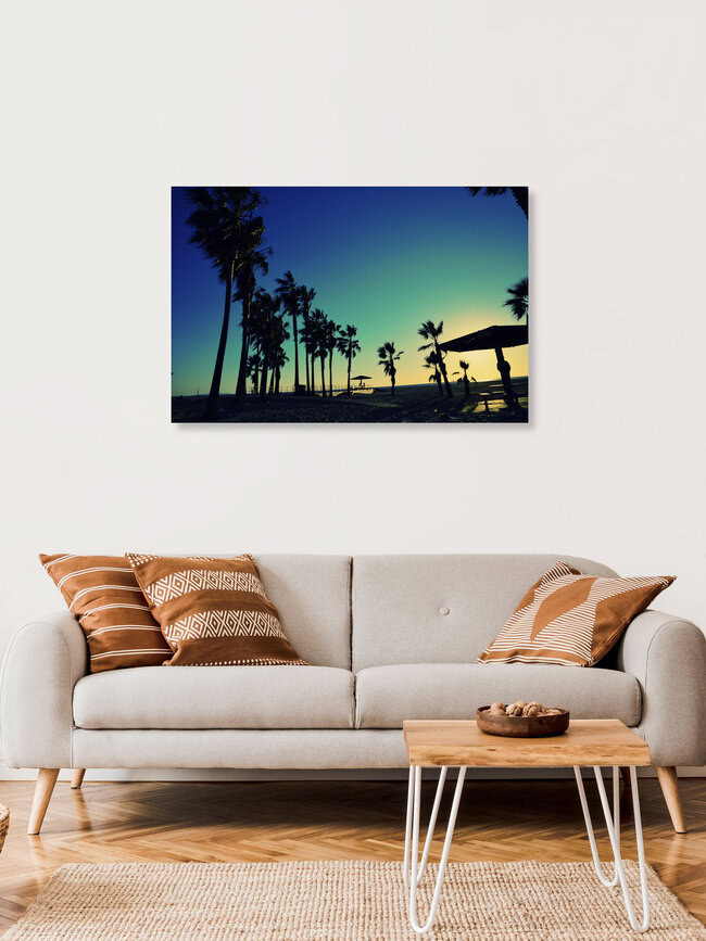 Palmenstrand, Vereinigte Staaten – Fotokunst von Michael Brandone als Poster oder Acrylglasbild