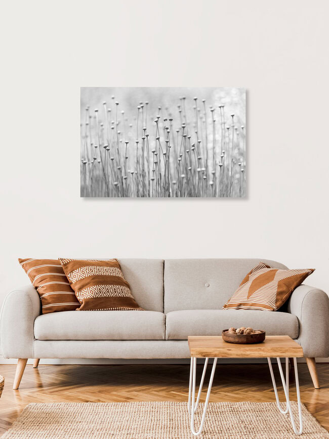 Stretch Out, Deutschland – Fotokunst von Torsten Kupke als Poster oder Acrylglasbild