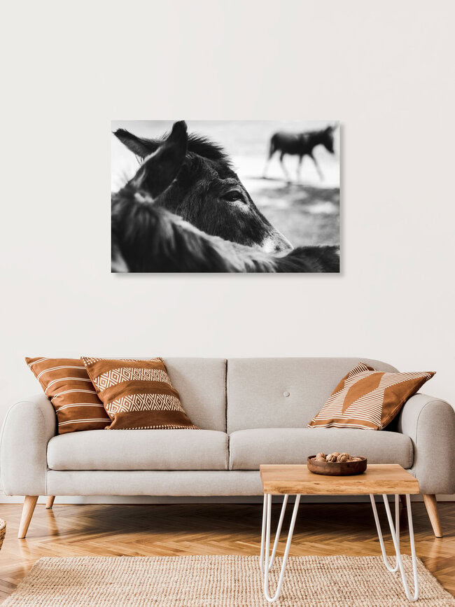 Esel, Deutschland – Fotokunst von Nadja Jacke als Poster oder Acrylglasbild