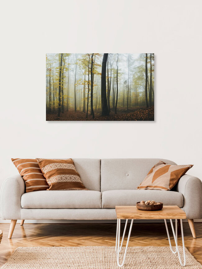 Autumn forest, Germany – wall art by Patrick Monatsberger as Poster or Acrylic Glass Print