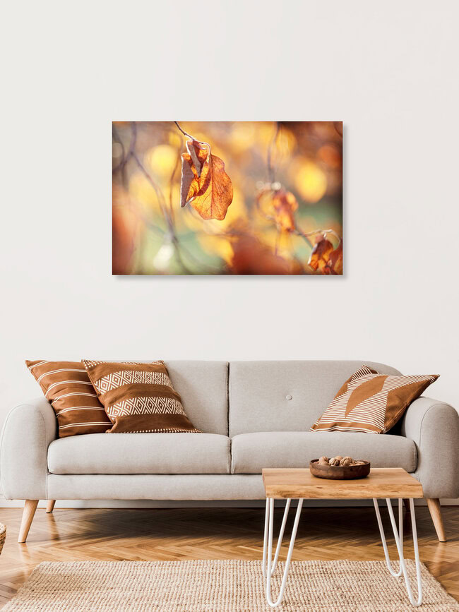 Autumn Spirit, Deutschland – Fotokunst von Torsten Kupke als Poster oder Acrylglasbild