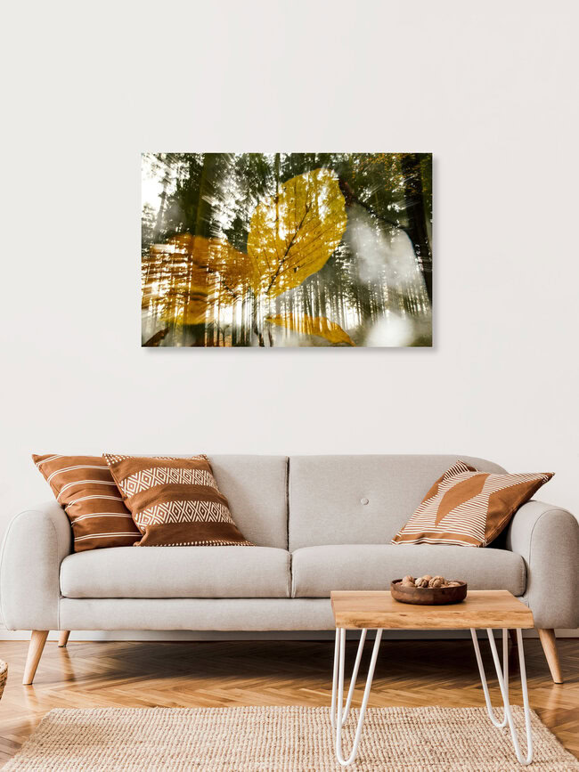 Doppelbelichtung mit Herbstlichem Buchenlaub im Wald, Deutschland – Fotokunst von Nadja Jacke als Poster oder Acrylglasbild