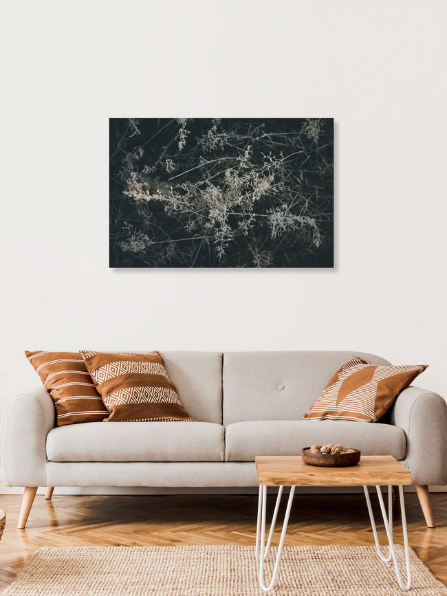 FROZEN FLORA 7, Germany – wall art by Steffen Schulte-Lippern as Poster or Acrylic Glass Print