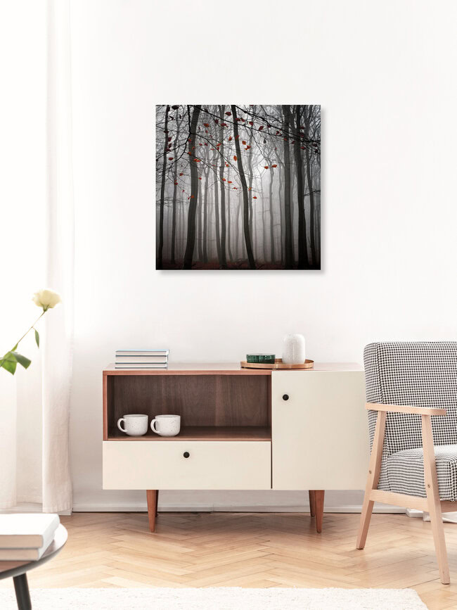The Beauty Of November, Deutschland – Fotokunst von Carsten Meyerdierks als Poster oder Acrylglasbild