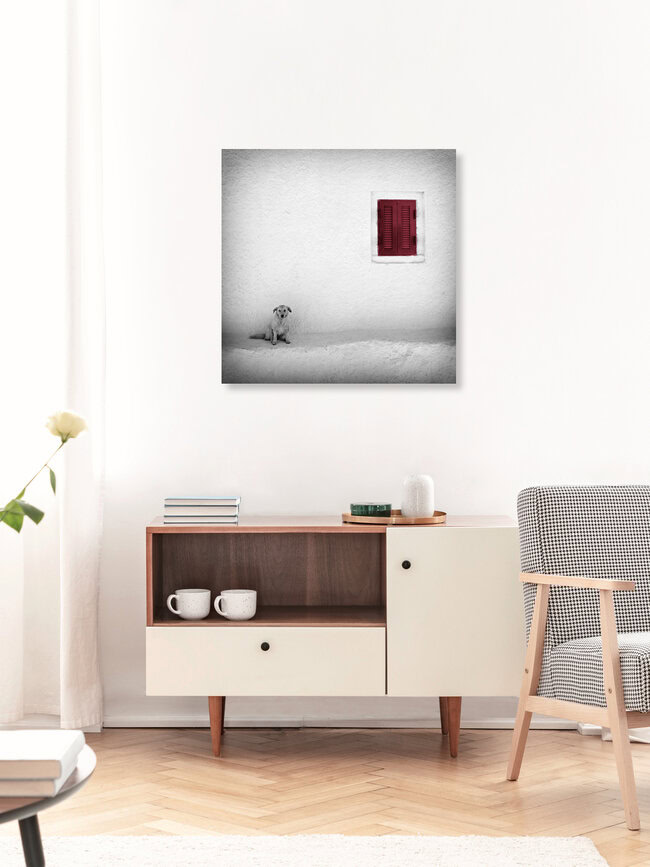 Lonely Dog, Griechenland – Fotokunst von Carsten Meyerdierks als Poster oder Acrylglasbild