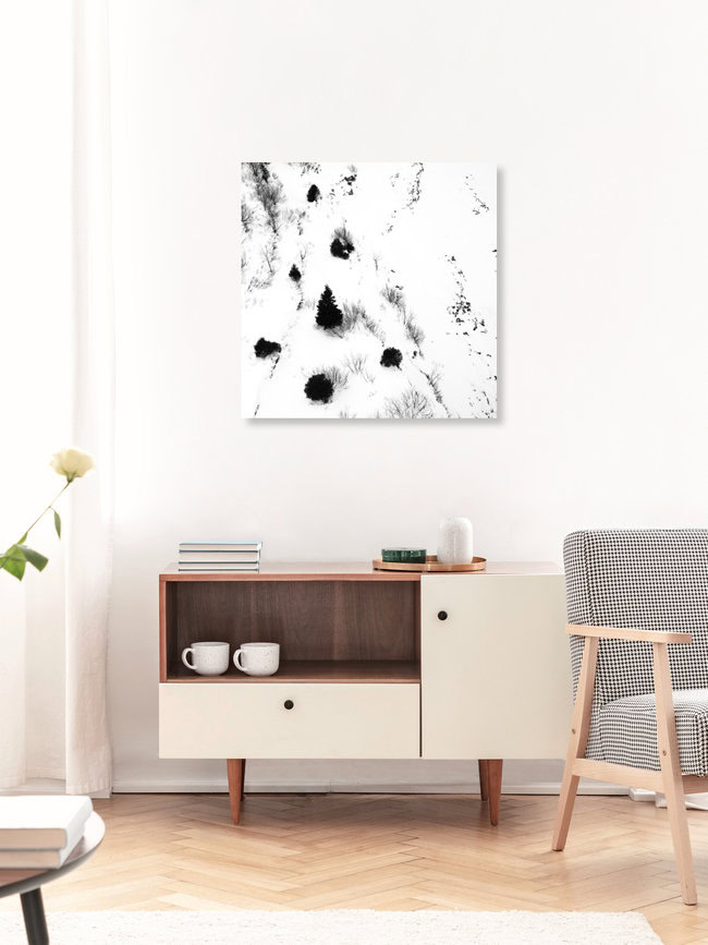 fir tree, Switzerland – wall art by Martina Fischer as Poster or Acrylic Glass Print