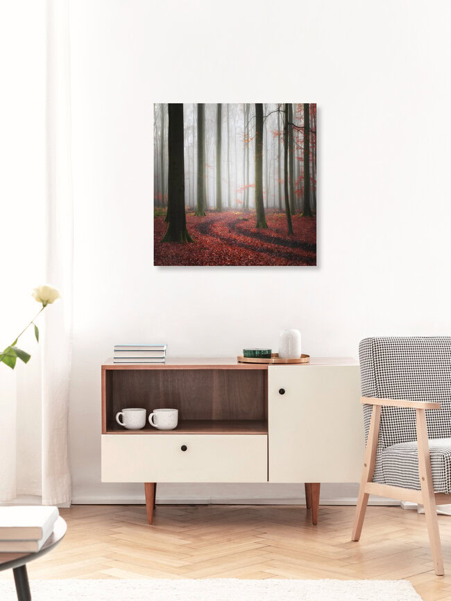 Tracks, Deutschland – Fotokunst von Carsten Meyerdierks als Poster oder Acrylglasbild