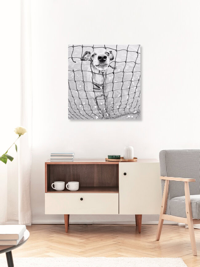Networking!, Italien – Fotokunst von Christine Frick als Poster oder Acrylglasbild