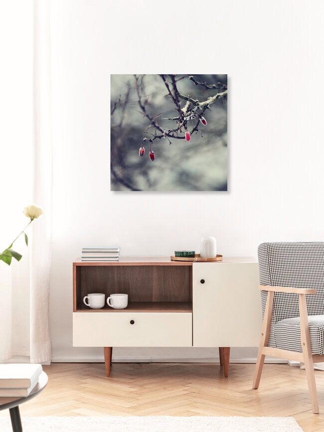 Gefrorene rote Beeren, Deutschland – Fotokunst von Nadja Jacke als Poster oder Acrylglasbild