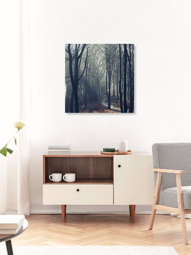 Waldweg in der Wintersonne im Teutoburger Wald, Deutschland – Fotokunst von Nadja Jacke als Poster oder Acrylglasbild