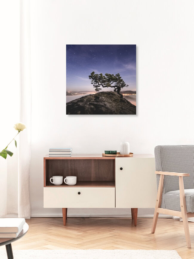 Old Pine - Study 2, Deutschland – Fotokunst von Ronny Behnert als Poster oder Acrylglasbild