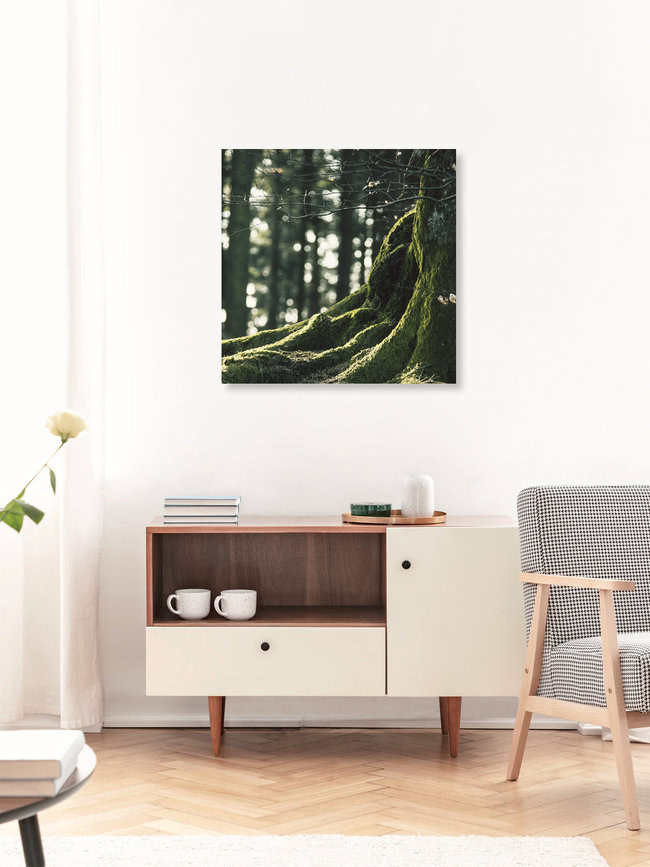 Teutoburger Wald, Deutschland – Fotokunst von Nadja Jacke als Poster oder Acrylglasbild
