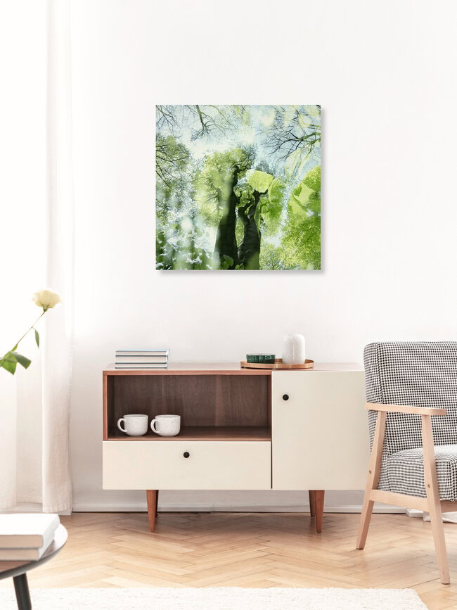 Zarte Grün im Frühling im Wald, Deutschland – Fotokunst von Nadja Jacke als Poster oder Acrylglasbild