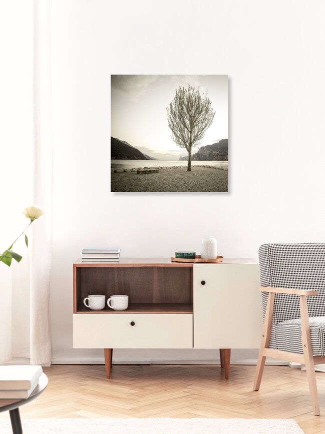 einsamer Baum, Italien – Fotokunst von Sebastian Rost als Poster oder Acrylglasbild