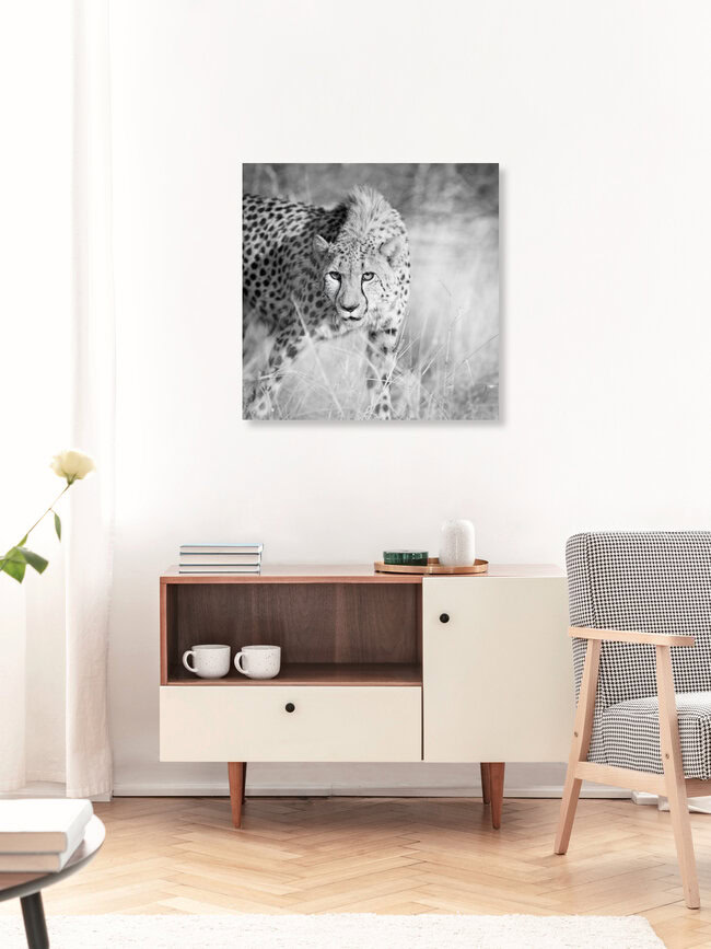 cheetah namibia, gepard namibia, Namibia – Fotokunst von Dennis Wehrmann als Poster oder Acrylglasbild