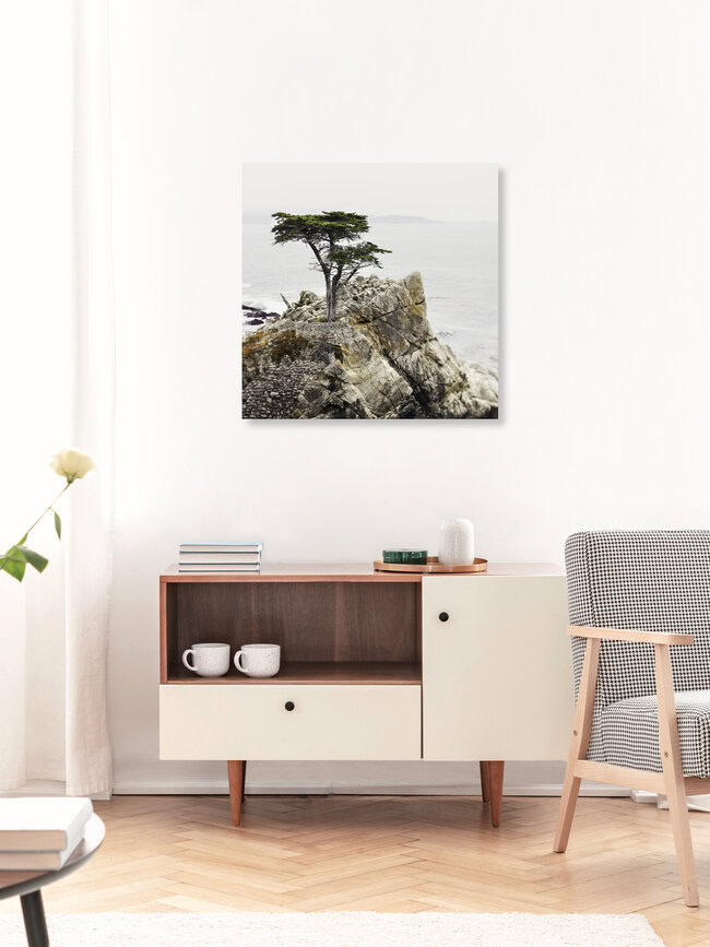 Lonely, Vereinigte Staaten – Fotokunst von Vera Mladenovic als Poster oder Acrylglasbild