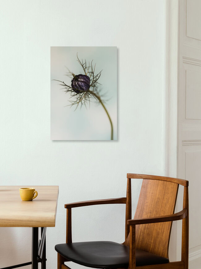 Maiden in the countryside, Germany – wall art by Manuela Deigert as Poster or Acrylic Glass Print