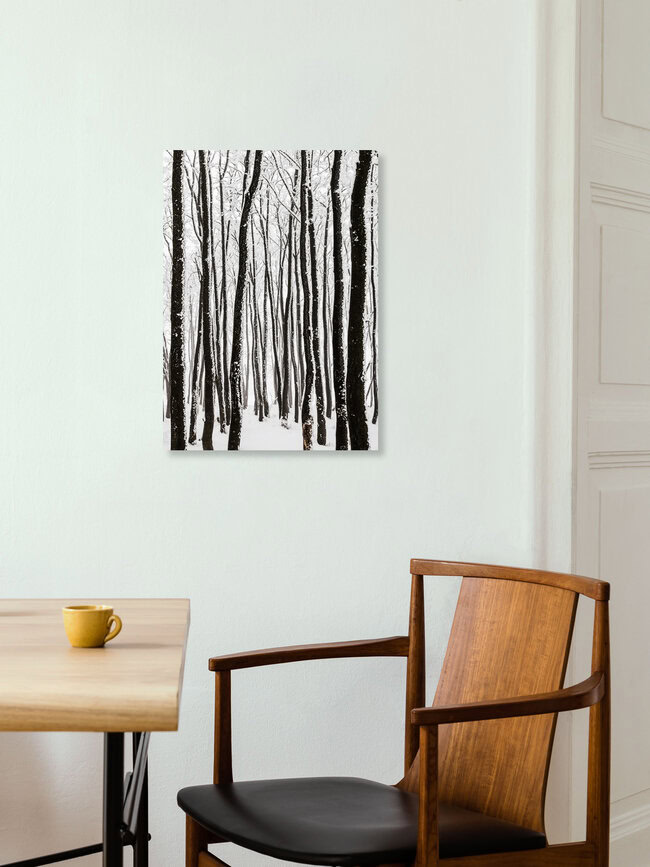 monochrome Eiszeit II, Deutschland – Fotokunst von Heiko Gerlicher als Poster oder Acrylglasbild