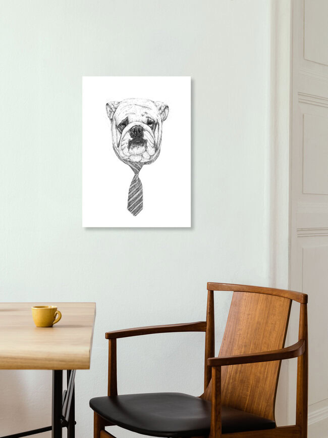 Wandbild 'Cooldog' – Kunst von Balazs Solti als Poster oder Acrylglasbild